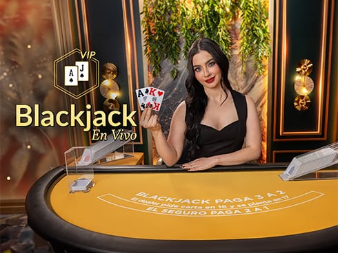 VIP Blackjack en Español 8 game screenshot