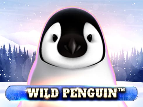 Wild Penguin game screenshot